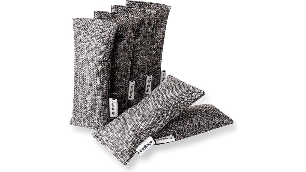 6 pack charcoal shoe deodorizer