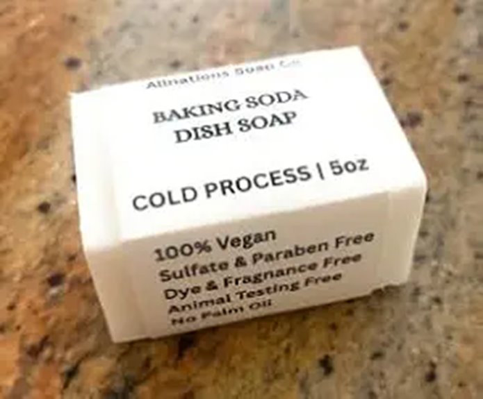 allnations unscented vegan dishsoap