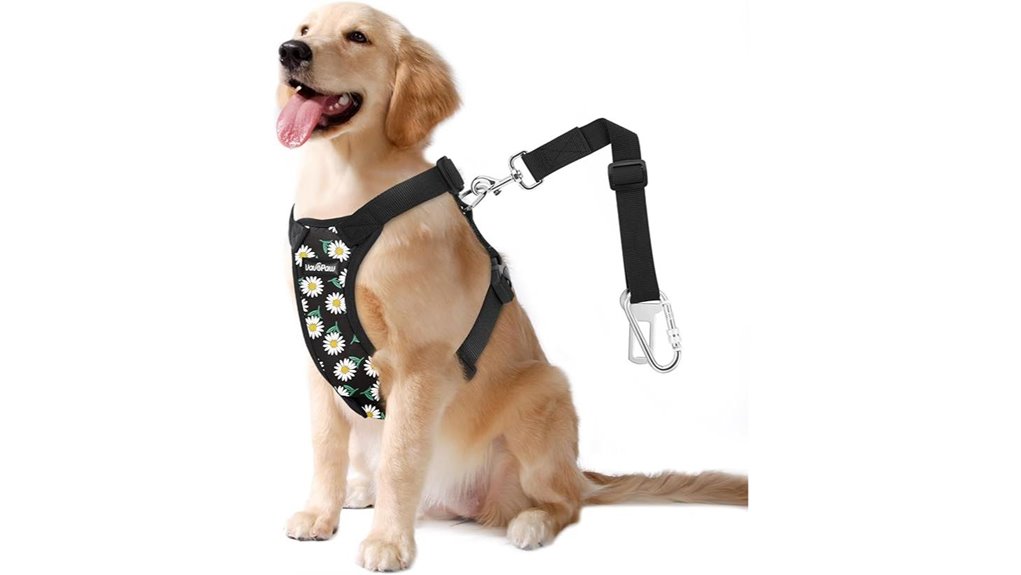 black daisy seatbelt l