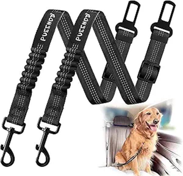 durable two pack bungee belts