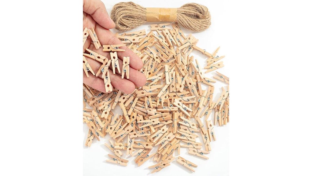 mini wooden clothes pins