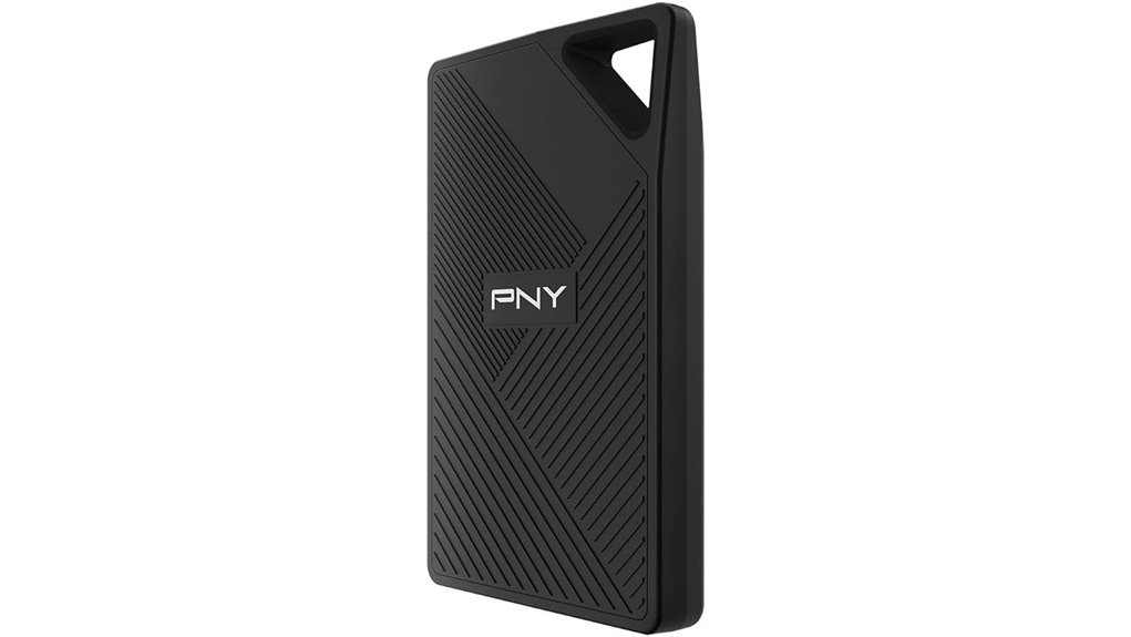 pny rp60 1tb 2000mb s