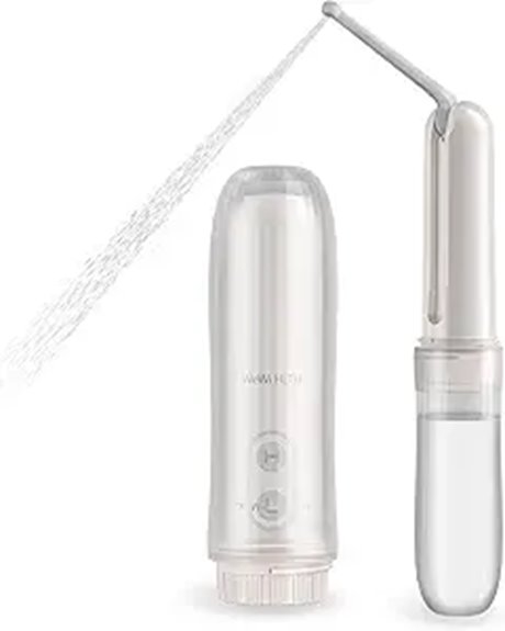 portable electric bidet sprayer