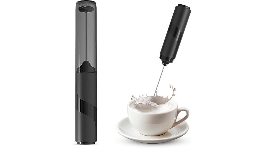 portable milk frother mini case