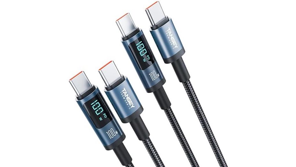 tansey dual 100w charger