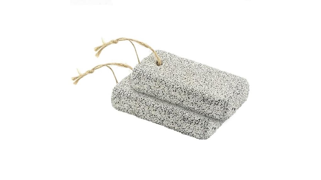 white 2 pack pumice stones