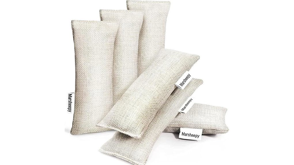 activated charcoal shoe deodorizer packs