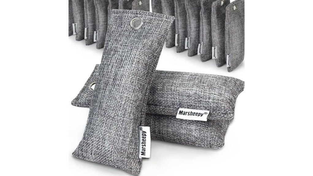 bamboo charcoal shoe deodorizers pack