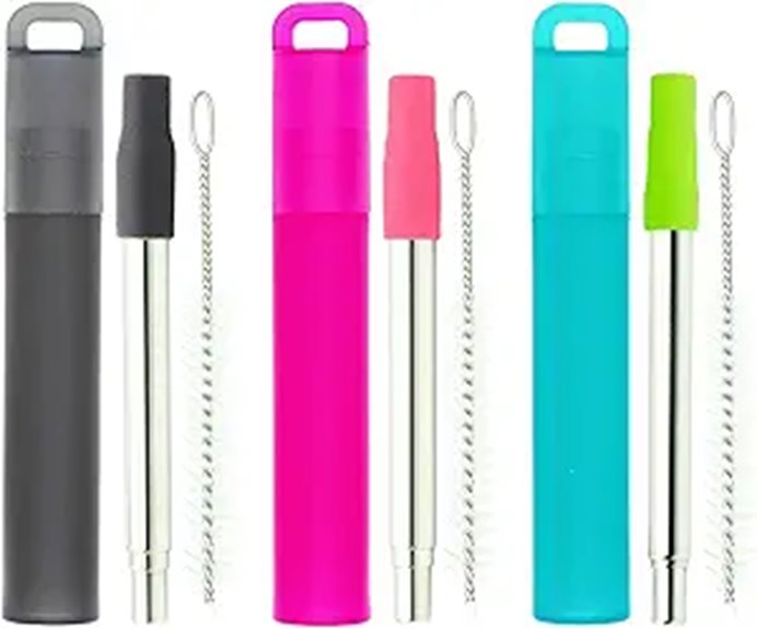 collapsible stainless steel straws