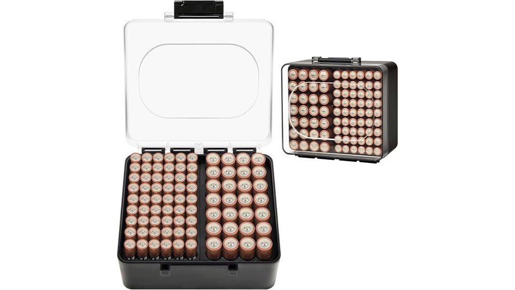 dual size aa and aaa organizer