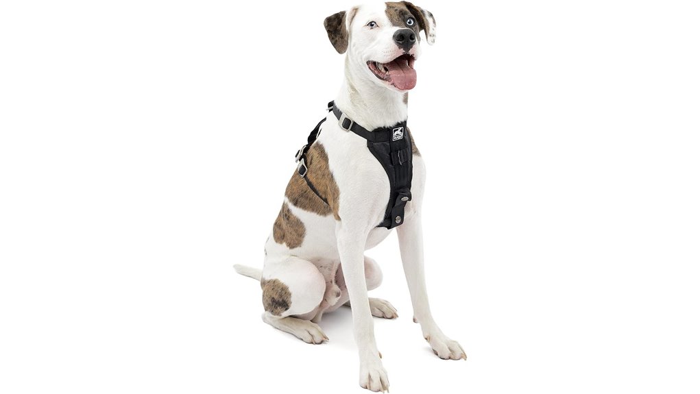heavy duty crash tested pet harness