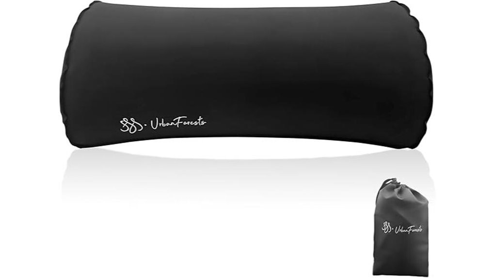 inflatable neck and lumbar support