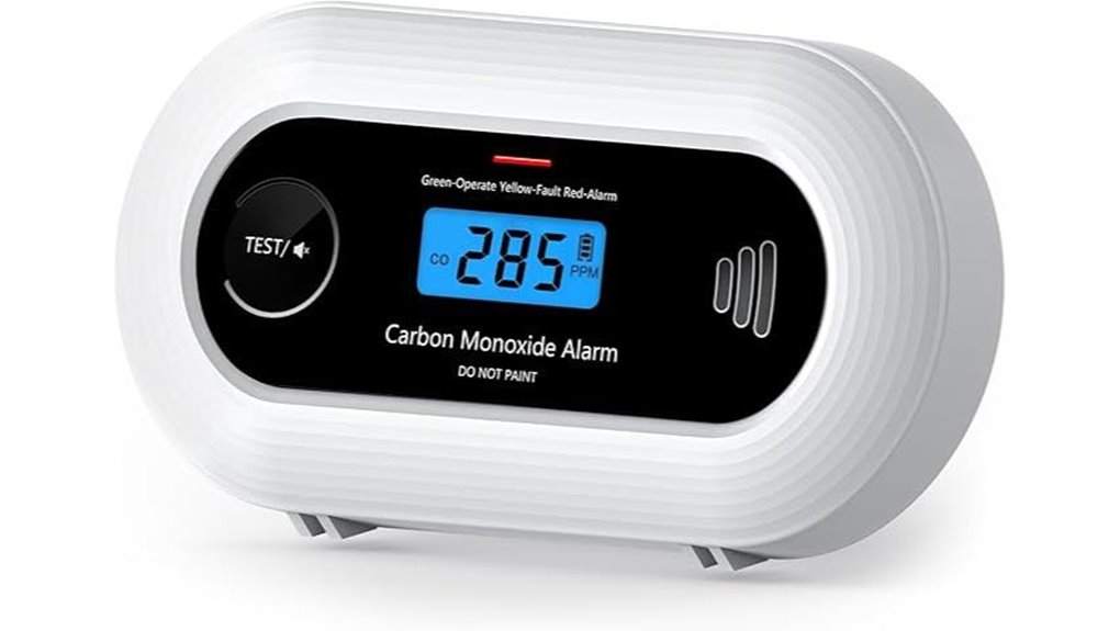 portable carbon monoxide alarm