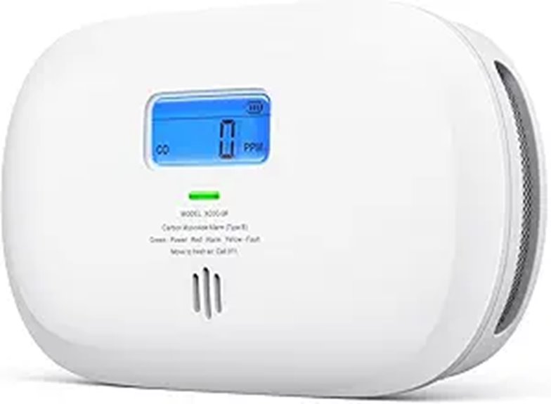 portable carbon monoxide detector